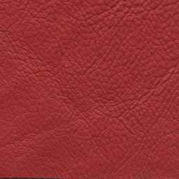 皮革貼圖 探索皮革紋理的多樣性與應(yīng)用